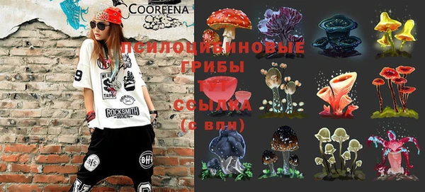 синтетический гашиш Корсаков
