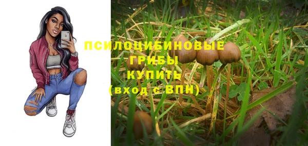 синтетический гашиш Корсаков