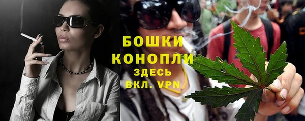 мдпв Костерёво