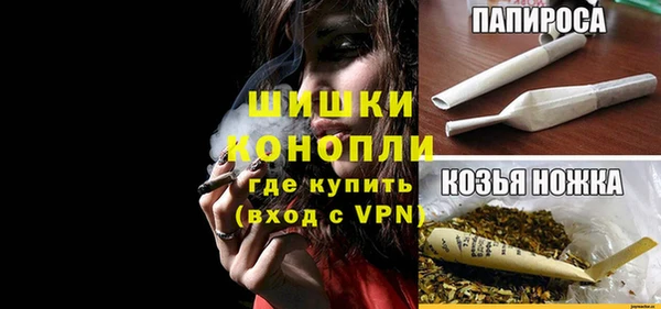 мдпв Костерёво