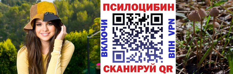 продажа наркотиков Хасавюрт Псилоцибиновые грибы Magic Shrooms