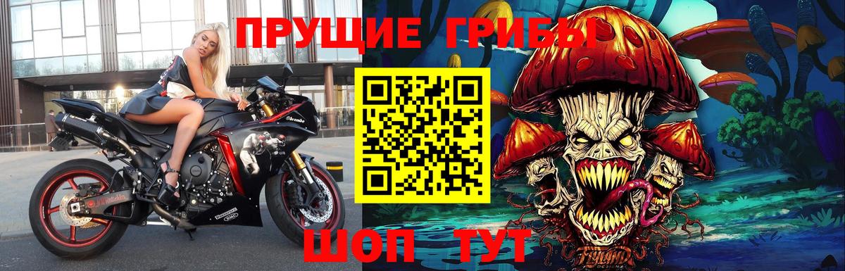 Хасавюрт  Галлюциногенные грибы мицелий  что такое   Вход с VPN 